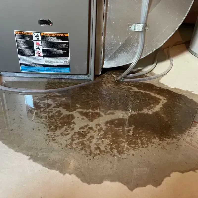 Appliance Leak Cleanup in Fort Hunt, VA